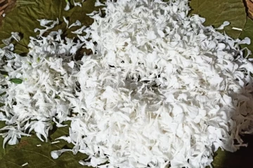 மார்புச் சளியை நிரந்தரமாகக் அடித்து விரட்டும் அற்புத துவையல்...எப்படி செய்ய வேண்டும் தெரியுமா?