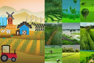 இலங்கை விவசாய துறையில் புதிய புரட்சி - கைச்சாத்தானது ஒப்பந்தம்
