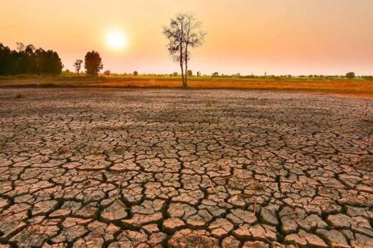 எல் நினோ மற்றும் புவிவெப்பமயமாதல் தீவிரம்: கடல் மேற்பரப்பு வெப்பநிலை புதிய உச்சம் | Intensification Of El Ni O And Global Warming