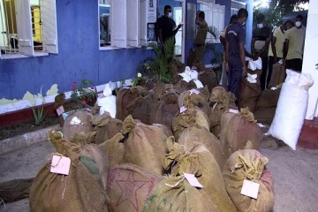 கிளிநொச்சியில்  பெருமளவான மஞ்சள் மற்றும்  ஏலக்காய் மீட்பு - சந்தேகநபர் ஒருவர் கைது