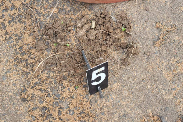 கிளிநொச்சியில் பரபரப்பு; மணல் கடத்தல்காரர் மீது துப்பாகிச்சூடு | A Sand Smuggler Was Shot At In Kilinochchi