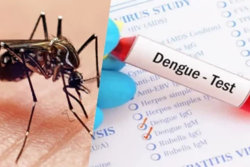 22 பேர் பலி ; நாட்டில் அதிகரிக்கும் டெங்கு நோய் அபாயம்