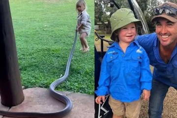 ராட்சத பாம்பிடம் அசால்ட்டாக விளையாடும் 2 வயது சிறுவன்: நடுங்க வைக்கும் காட்சி