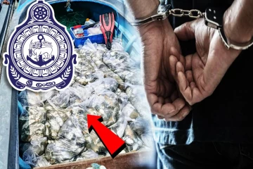 யாழில் சட்டவிரோதமாக பிடிக்கப்பட்ட கடல் அட்டைகளுடன் நால்வர் கைது