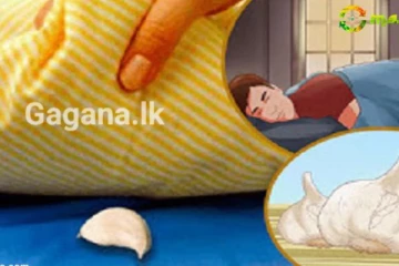 මේ දවස් වල හැමෝම කතා වෙන සුදුලූණු...ඔයත් සාක්කුවේ දාගෙන ගිහින් බැලුවද..