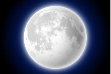 இன்று சித்ரா பௌர்ணமி... இந்த உணவுகளை மறந்தும் கூட சாப்பிடாதீங்க! ஆபத்து