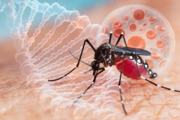 5 மாவட்டங்களின் பல பகுதிகள் டெங்கு அபாயமிக்க வலயங்களாக அடையாளம்