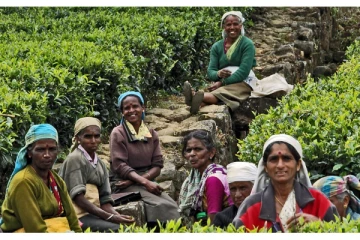 மலையக தமிழர்களுக்கும்   இந்திய குடியுரிமை வேண்டும்!