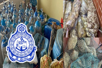 சட்டவிரோதமாக கடற்றொழிலில் ஈடுபட்ட 12 பேர் கைது