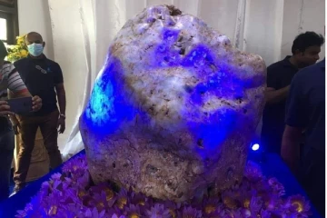 இலங்கைக்கு கிடைத்த அதிர்ஷ்டம்! 2000 ஆயிரம் கோடிக்கு விற்கப்படும் ஆசியாவின் ராணி?