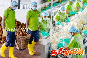 இலங்கையில் திடீரென வேலையிழந்த இலட்சக்கணக்கானோர்