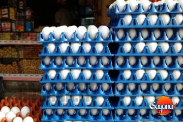 බිත්තර මිල යළි ඉහළට