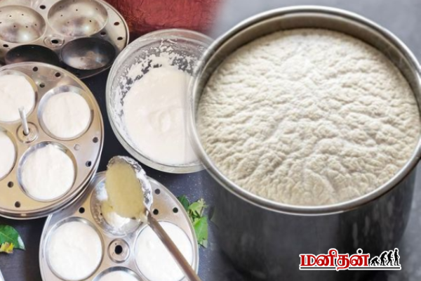 இட்லி தோசை மாவு ஒரு வாரத்திற்கு புளிக்காமல் எப்படி பாதுகாப்பது? | How To Save Idli Dosa Batter From Being Sourness