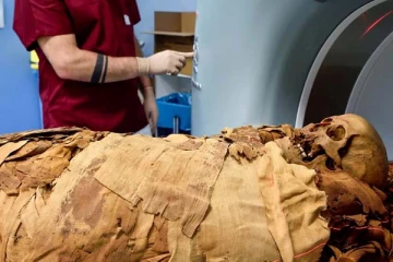 முதல் கர்ப்பிணி மம்மி: வயிற்றில் சிதையாமல் காணப்பட்ட கரு: ஆச்சரியத்தில் விஞ்ஞானிகள்