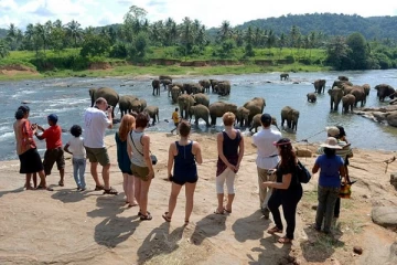 මෙරටට එන සංචාරකයන් රැවැට්ටුවහොත් ලැබෙන දඬුවම මෙන්න.