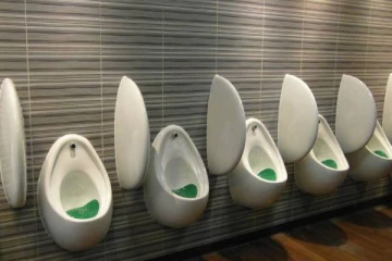 சிறுநீர், மார்பகம், உப்பு, தாடிக்கு வரி - உலகின் வினோத வரிகள் எதெல்லாம் தெரியுமா?