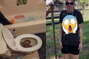 கழிவறையைப் பயன்படுத்திய பெண்... கண்ட திகிலடைய வைத்த காட்சி