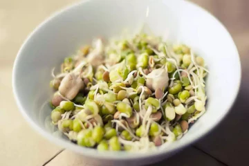 காலையில் வெறும் வயிற்றில் முளைகட்டிய பயறு சாப்பிடுவதனால் கிடைக்கும் நன்மைகள் என்ன தெரியுமா?