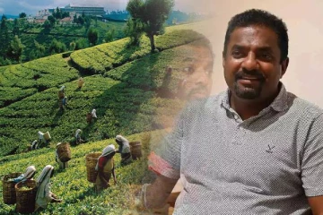 மலையக மக்களுக்கு உதவ மலையக அரசியல்வாதிகள் அனுமதிப்பதில்லை: முரளிதரன் குற்றச்சாட்டு