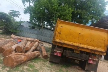 யாழ். சாவகச்சேரியில் விசேட சுற்றிவளைப்பு! சிக்கிய 25 டிப்பர்கள்