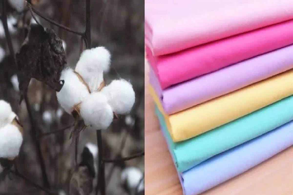 அதிகரித்து வரும் வெப்ப அலை தாக்கம்! தெரிஞ்சுக்க வேண்டிய முக்கிய ஆரோக்கிய குறிப்புகள் | Summer Health Tips In Tamil அதிகரித்து வரும் வெப்ப அலை தாக்கம்! தெரிஞ்சுக்க வேண்டிய முக்கிய ஆரோக்கிய குறிப்புகள் | Summer Health Tips In Tamil