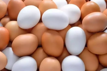 நாட்டில் முட்டை விலை அதிகரிப்பதற்கான அறிகுறிகள்