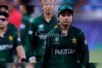 ලෝක කුසලාන තරග මග දමා හදිසියේම සානා යළි මව් රටට