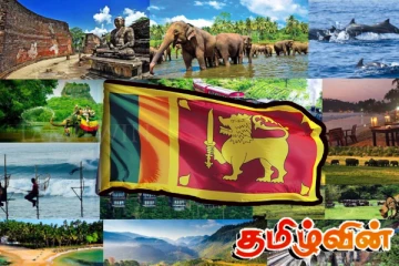 வெளிநாட்டு சுற்றுலாப் பயணிகளின் வருகை தொடர்பில் வெளியான தகவல்