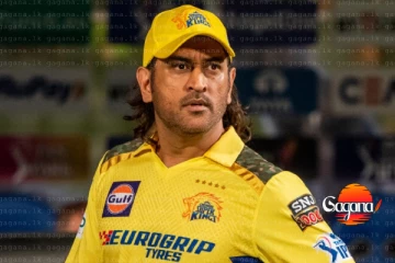 දෝනි ලෑස්තියි - පිටිය උණුසුම් වෙන්න සියල්ල සූදානම්