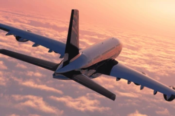 මගීන් 163 දෙනෙකු ගමන් ගත් ගුවන් යානයක් හදිසියේම ගොඩ බස්වයි.