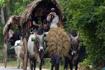 இலங்கைக்கு மீண்டும் படையெடுக்கும் சுற்றுலா பயணிகள்!