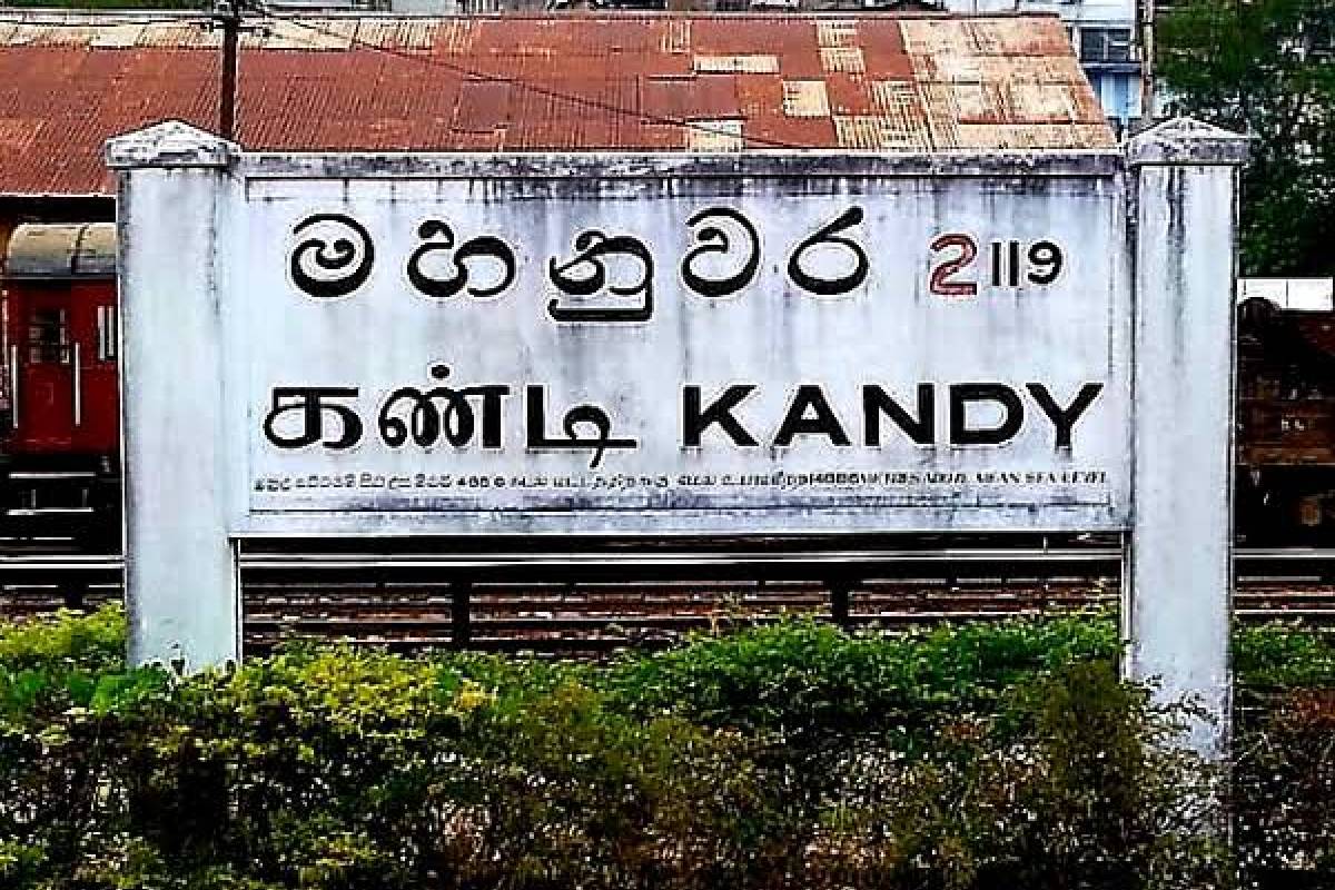 பெயரளவிலான ஜனாதிபதி அனுர : நாட்டை ஆள்வது ரில்வின் சில்வா என்கிறது பெரமுன | Anura President In Name Tilvin Is Ruling Country பெயரளவிலான ஜனாதிபதி அனுர : நாட்டை ஆள்வது ரில்வின் சில்வா என்கிறது பெரமுன | Anura President In Name Tilvin Is Ruling Country