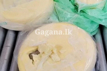 චීස් රෝදවල හොර රහසේ රැගෙන ආ දේ මාට්ටු වෙයි.