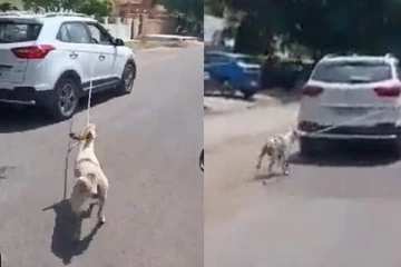 நாயை காரில் கட்டி இழுத்துச் சென்ற பிரபல டாக்டர் - மனதை கலங்கடிக்கும் வீடியோ!