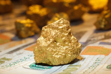 சட்டவிரோதமாக செயல்பட்ட 19 தங்க சுரங்கங்கள்: வெடி வைத்து தகர்த்த பிரபல நாடு