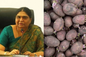 விதை உருளைக்கிழங்கு தொடர்பில் விசாரணை வேண்டும் : வடக்கு ஆளுநர் வலியுறுத்தல்