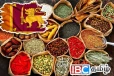 உலக சந்தையில் இலங்கையின் மசாலாப் பொருட்களுக்கு அதிக கிராக்கி