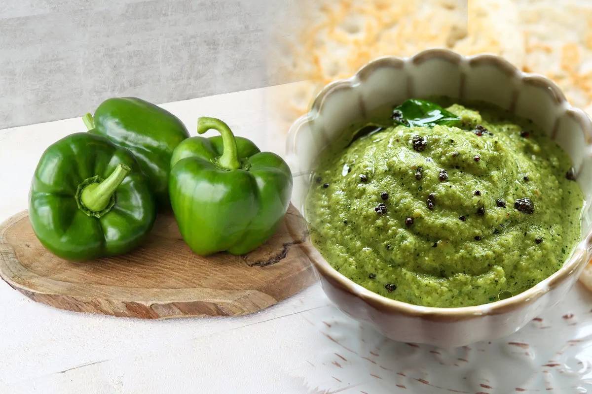 நாவூறும் சுவையில் குடைமிளகாய் சட்னி.., எப்படி செய்வது? | Capcicum Chutney Recipe In Tamil நாவூறும் சுவையில் குடைமிளகாய் சட்னி.., எப்படி செய்வது? | Capcicum Chutney Recipe In Tamil