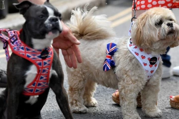 பிரிட்டனில் செல்லப்பிராணிகளுக்கு ஏற்பட்ட பரிதாப நிலை