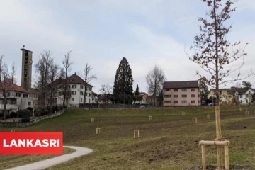 சுவிஸ் நகரம் ஒன்றில் வீசும் துர்நாற்றத்தால் அவதியுறும் மக்கள்... காரணம் இதுதான்