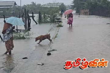 வெள்ள நீரால் யாழில் ஏற்பட்டுள்ள பாதிப்பு