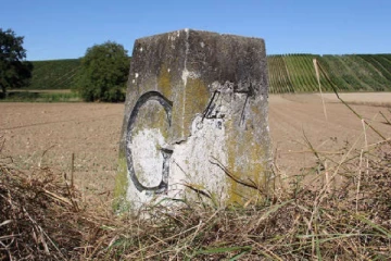 வேறொரு நாட்டில் குடியேற விரும்பும் ஆயிரக்கணக்கான சுவிஸ் குடும்பங்கள்: எங்கு தெரியுமா?
