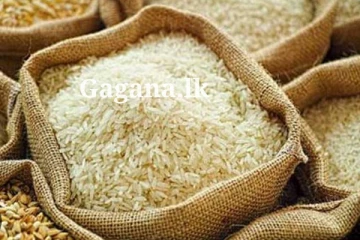 උත්සව සමයේ සහල් වලට කුමක් වෙයි ද?.