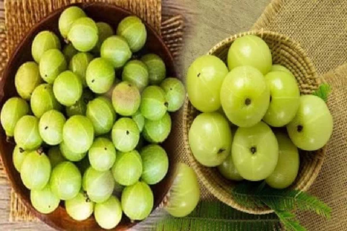 நோயெதிர்ப்பு சக்தியை வலுப்படுத்தும் நெல்லிக்காய்- இந்த உணவுகளுடன் சேர்த்துச் சாப்பிட்டால் இரட்டிப்பு பலன்கள்! | Best Pair With Amla To Boost Immunity Naturally