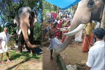 பாகனின் இறுதிச்சடங்கில் கண்ணீர் அஞ்சலி செலுத்திய யானை: கண்கலங்க வைத்த காட்சி