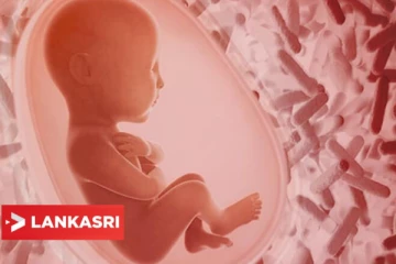 நாடு கடத்தப்படும்போது கருவிலிருந்த குழந்தை உயிரிழப்பு... அகதிக்கு இழப்பீடு வழங்க சுவிட்சர்லாந்து மறுப்பு