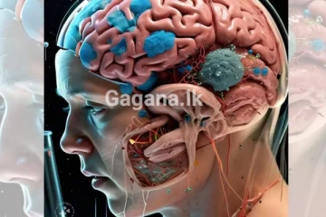 දෙවියනේ මේ තරම් භයානක තත්වයක්..ලොව පුරා බිලියන 4කට ආසන්න පිරිසකට මොළය ආශ්‍රිත රෝගයක්..
