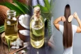 முடி கொட்டுதே என்று கவலையா! இந்த இரண்டு எண்ணெயை சேர்த்து பயன்படுத்தினால் போதும்...