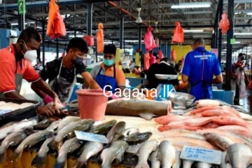 අද මාළු මිල ගණන් වලට එකවරම සිදු වුණ දේ බලන්න.. හේතුව කුමක් විය හැකි ද?