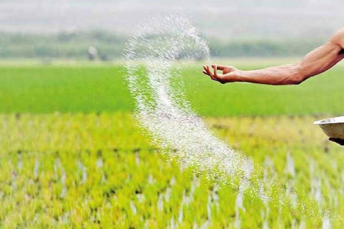 விவசாயிகளுக்கு வெளியான மகிழ்ச்சி செய்தி ; ஜனாதிபதியின் அதிரடி உத்தரவு | Good News For Farmers President S Order